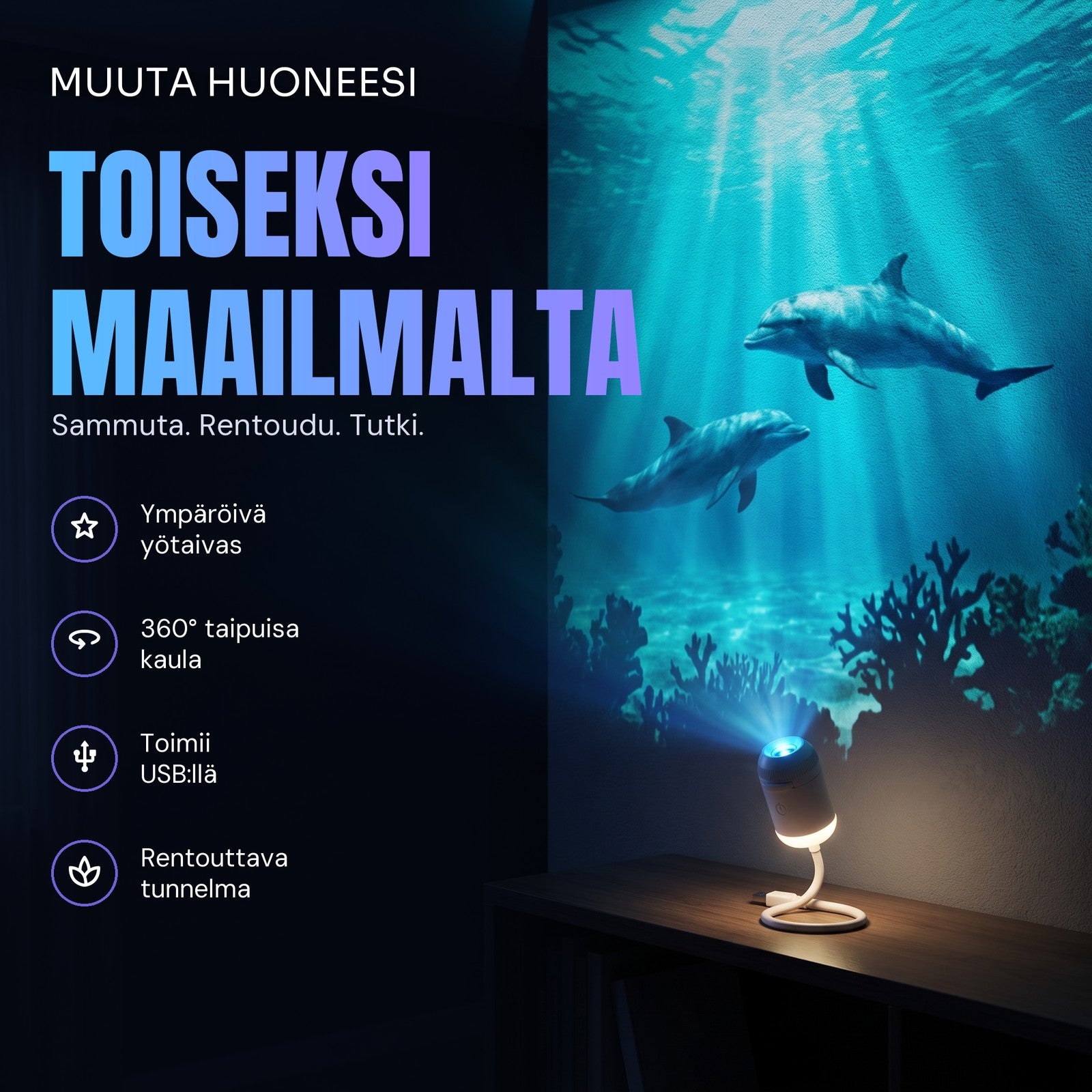 Delfiinejä ja auringonsäteitä heijastettuna makuuhuoneen seinälle