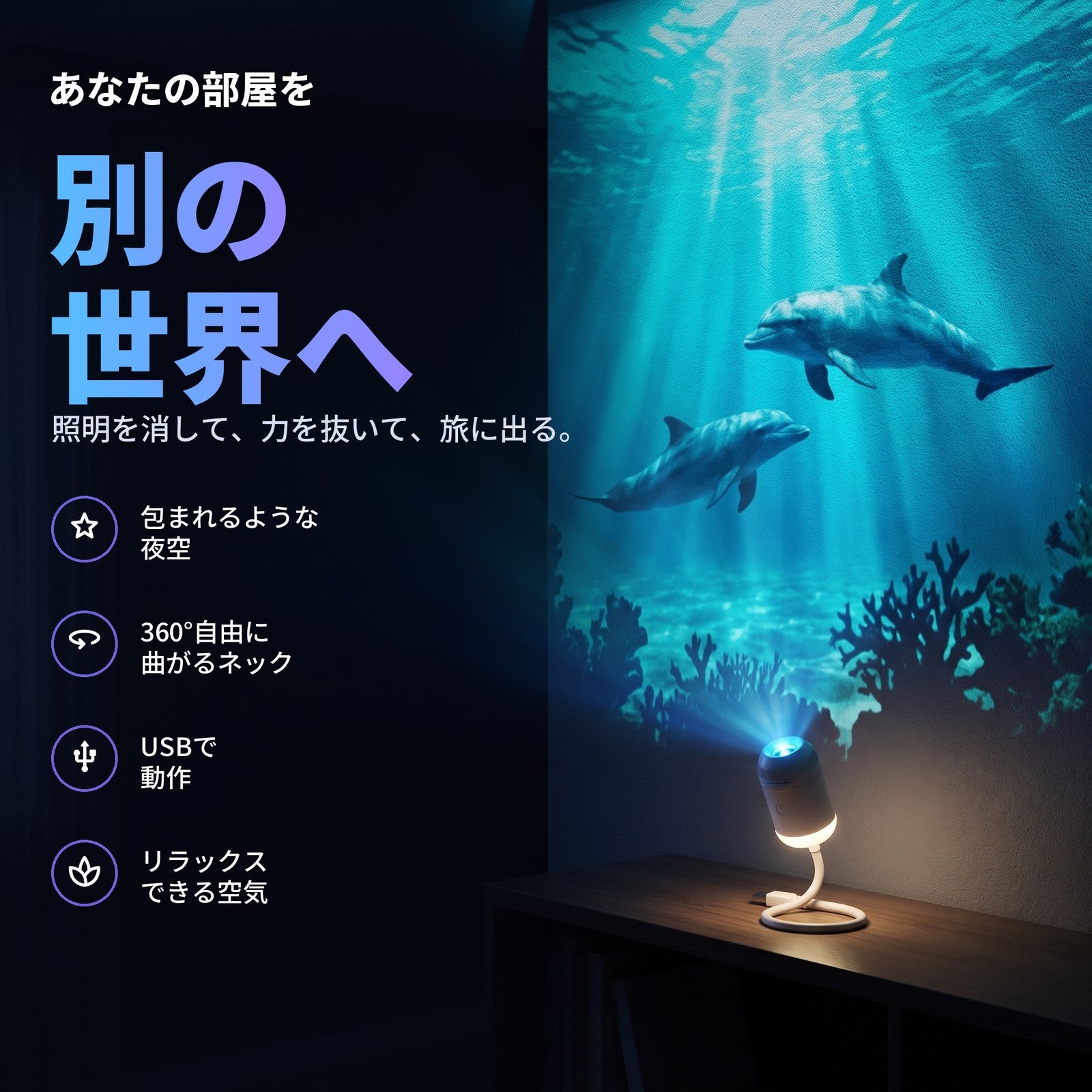 寝室の壁に映るイルカと光のさしこみ