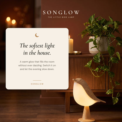 Songlow bird lamp glowing warm on a sideboard in a cosy living room at night